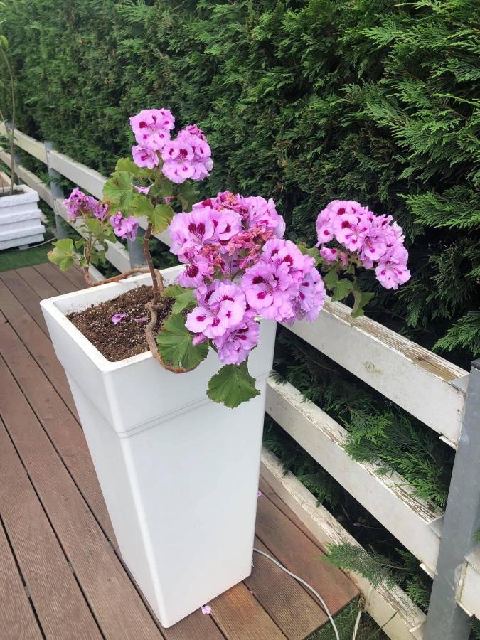 Rezidenca Primavera Apartments Durrës 외부 사진